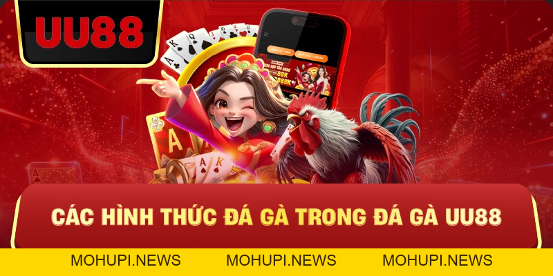 Đá Gà Uu88 – Trực Tiếp Kịch Tính, Kèo Chuẩn, Trải Nghiệm Đá Gà Đỉnh Cao