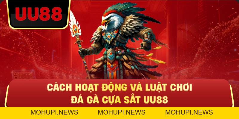 Đá Gà Cựa Sắt Uu88 – Trận Nhanh, Cược Chuẩn Mới Có Lời