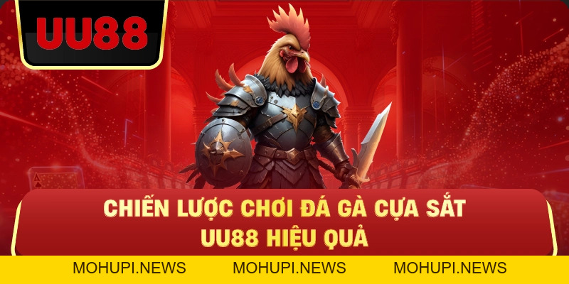 Đá Gà Cựa Sắt Uu88 – Trận Nhanh, Cược Chuẩn Mới Có Lời