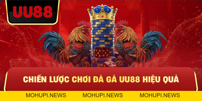 Đá Gà Uu88 – Trực Tiếp Kịch Tính, Kèo Chuẩn, Trải Nghiệm Đá Gà Đỉnh Cao