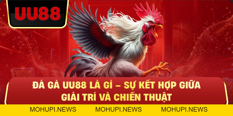 Đá Gà Uu88 – Trực Tiếp Kịch Tính, Kèo Chuẩn, Trải Nghiệm Đá Gà Đỉnh Cao