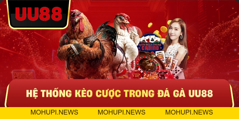 Đá Gà Uu88 – Trực Tiếp Kịch Tính, Kèo Chuẩn, Trải Nghiệm Đá Gà Đỉnh Cao