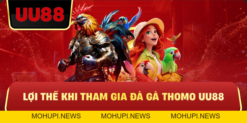 Đá Gà Thomo Uu88 – Trực Tiếp Kịch Tính, Cược Chuẩn Mới Thắng